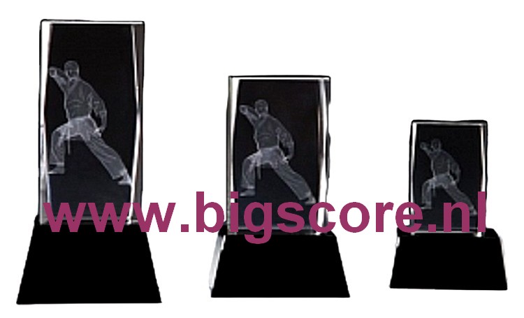 Karate 3D Kristal BSST 67602 t/m 67604